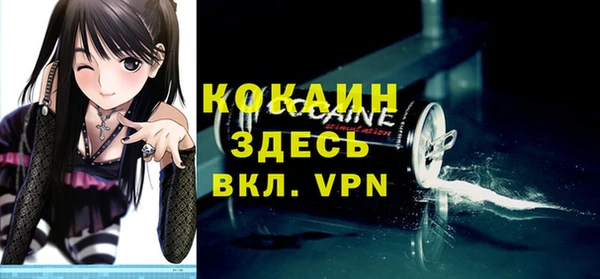spice Снежногорск