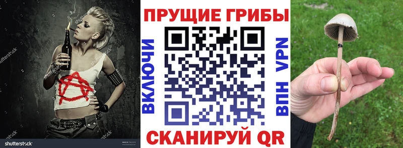 Псилоцибиновые грибы Psilocybe  купить наркоту  Кинель 